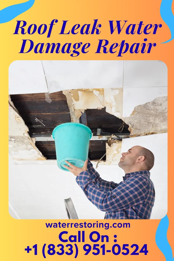 Roof Leak Water Damage Repair in East Bakersfield, CA